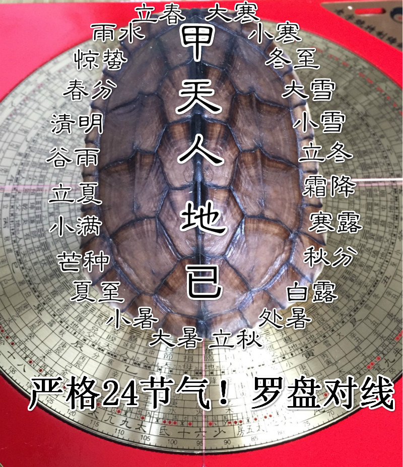 六爻占卜:龟壳摇卦是古代中国的一种占卜方式
